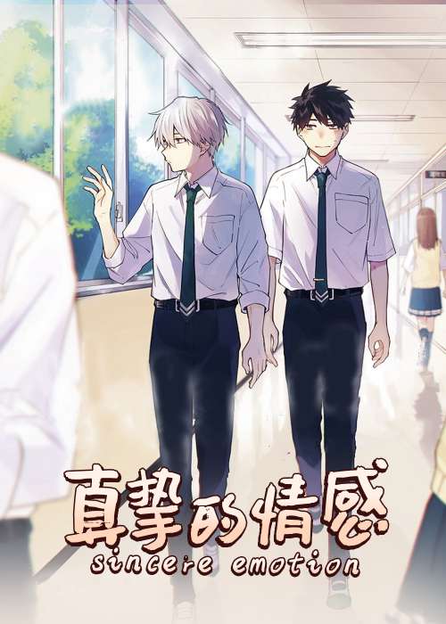 真挚的情感在线漫画