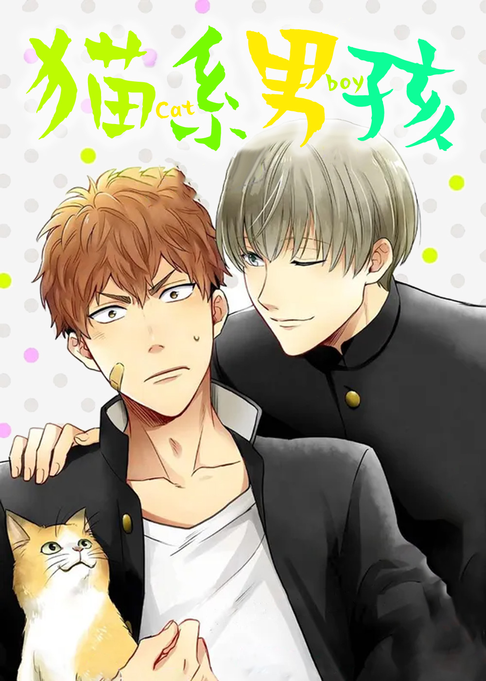 猫系男孩在线漫画