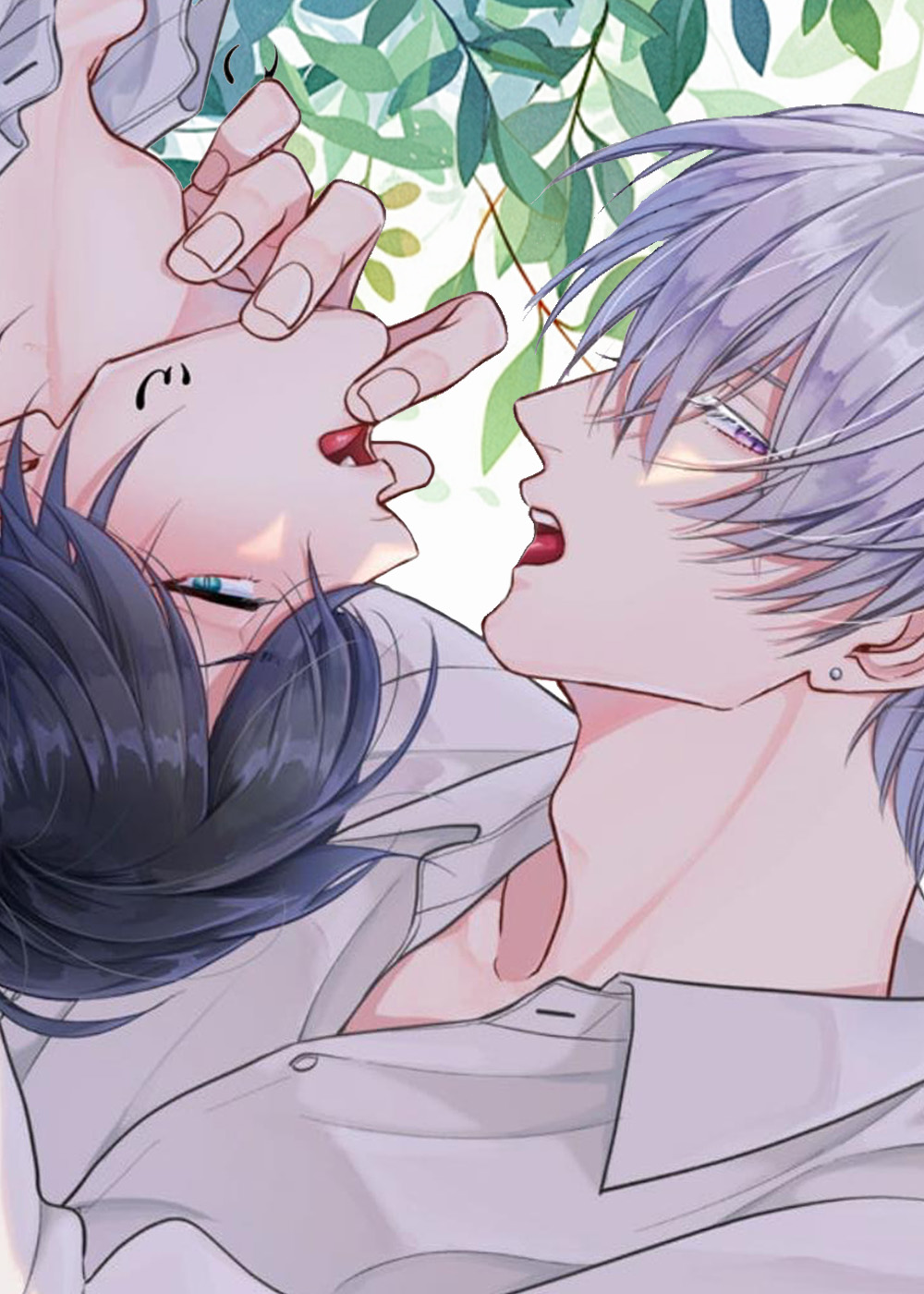 猫与蛇在线漫画