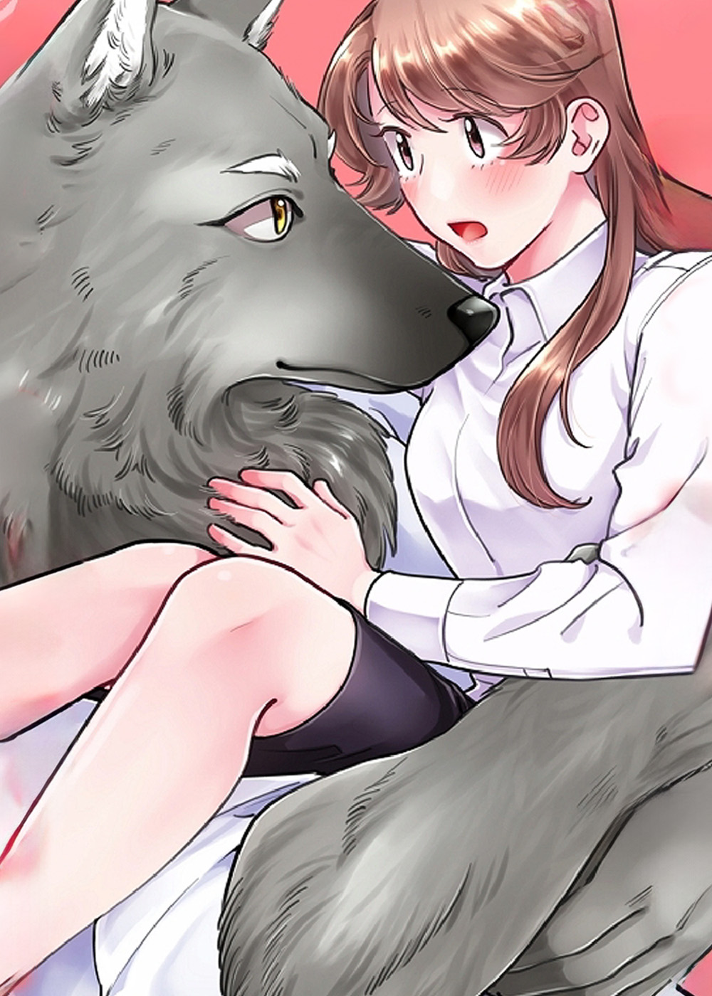 善良的狼朋友在线漫画